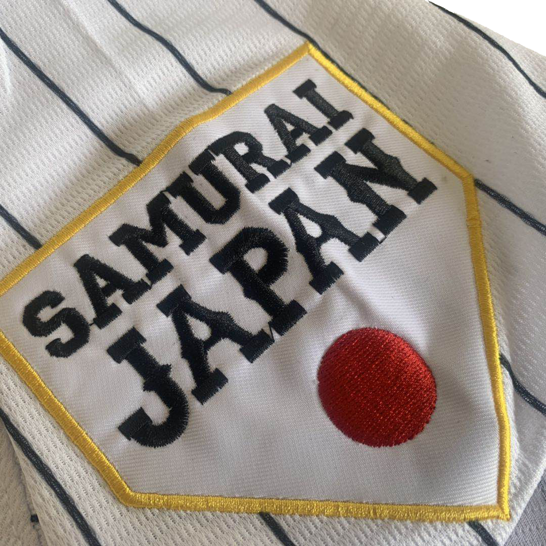 Maglia da Baseball di Alta Qua - Embellish Knit recensione e prezzo